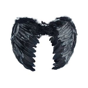 Feather Angel Wings Christmas Halloween Fancy Dress Costume Hen Night Party